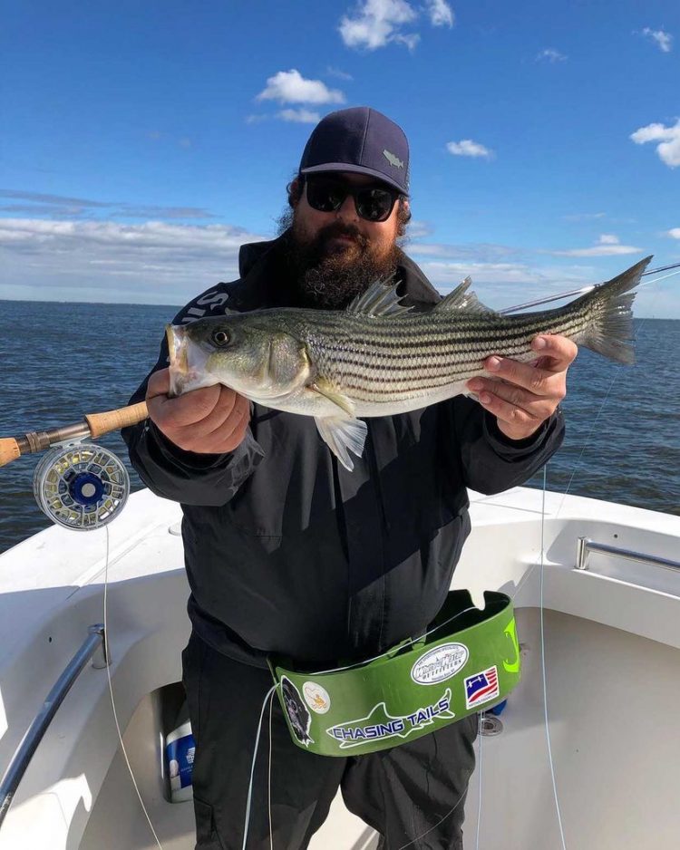 Chasing Tails Striped Bass