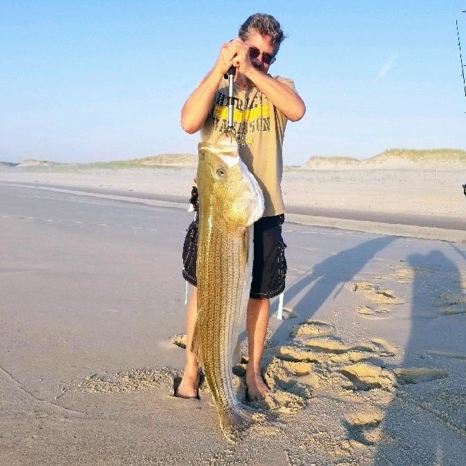 New Jersey Surf Striper