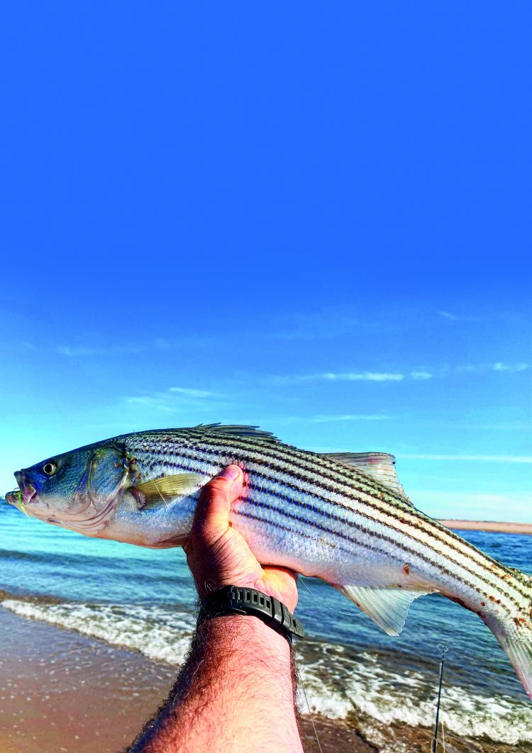 Cape Cod Striper Fishing