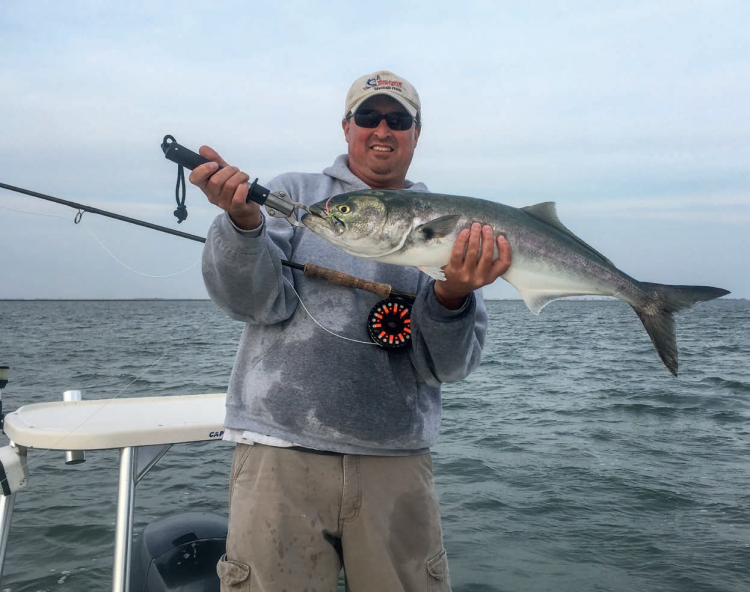 Fly Fishing Stripers