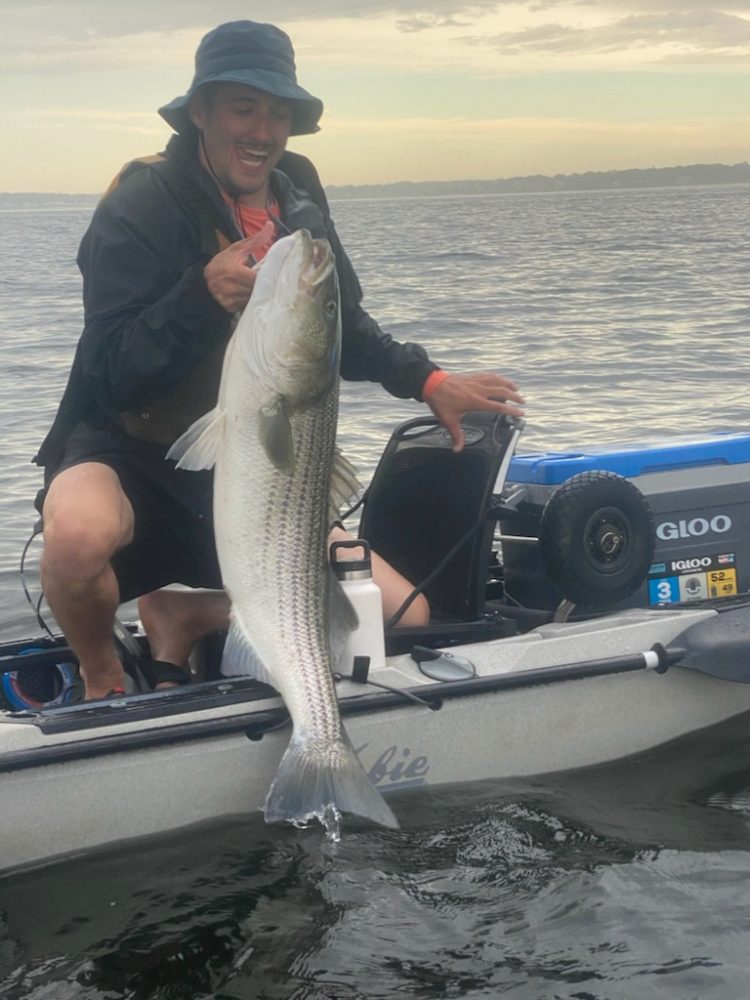 Kayak Striped Bass