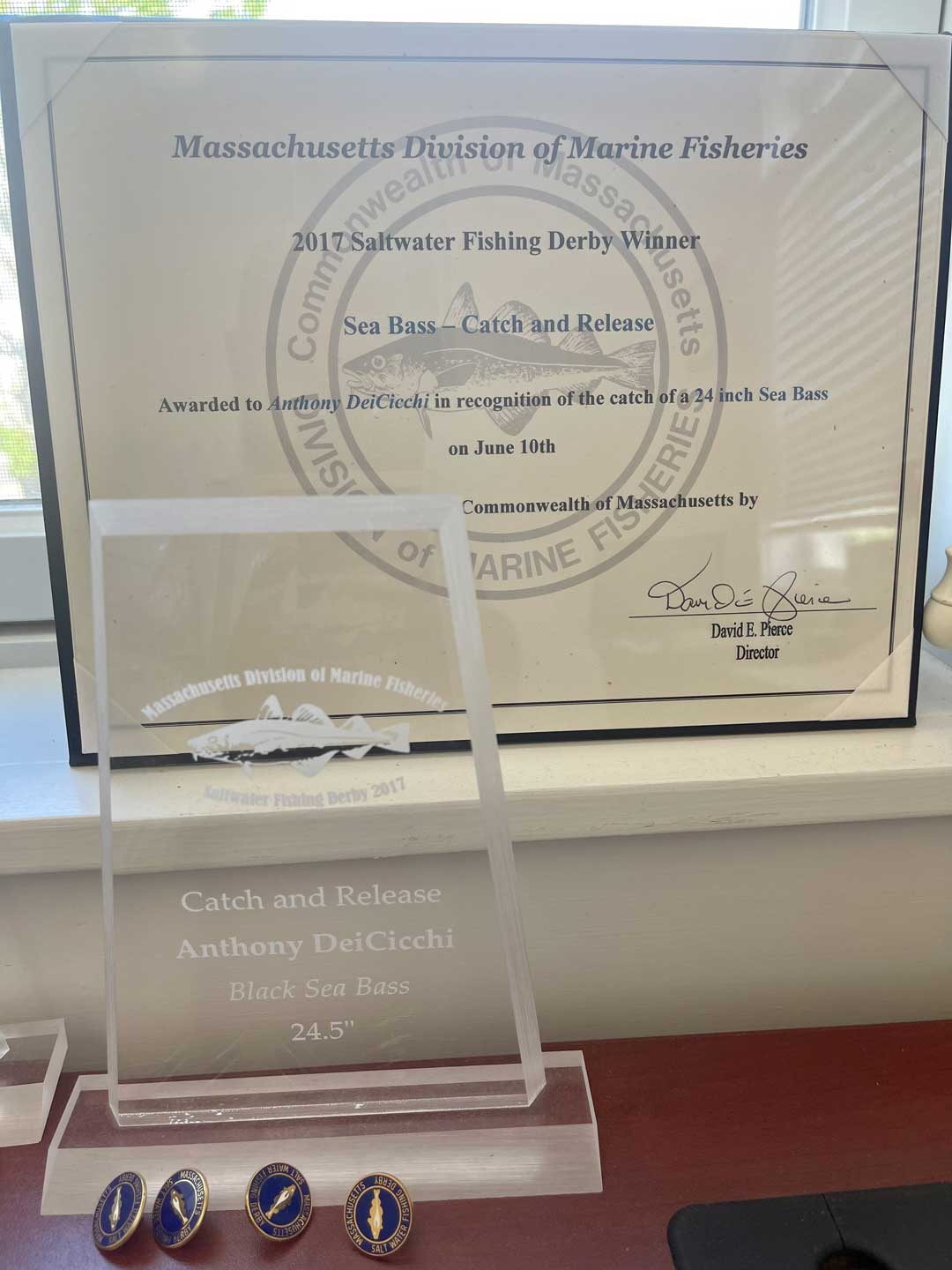 Pins plaque and certificate