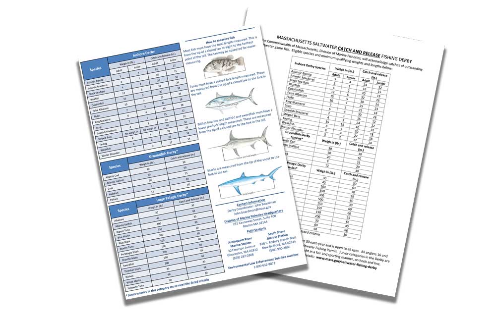 qualifying weights lengths