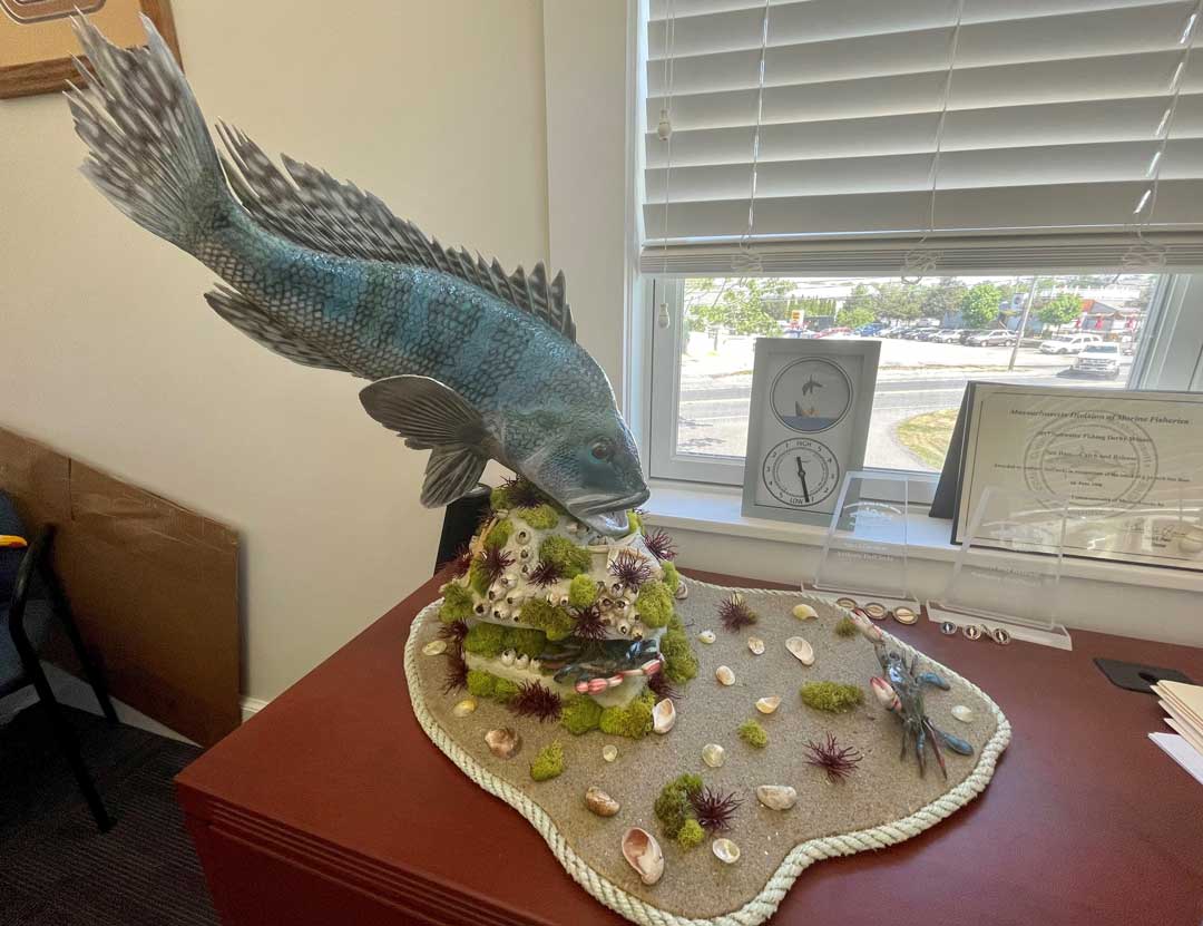 sea bass pedestal mount