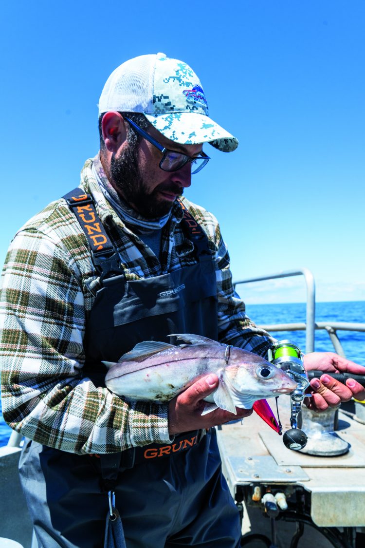 Sea Falcon S Impact Slow Pitch Jig