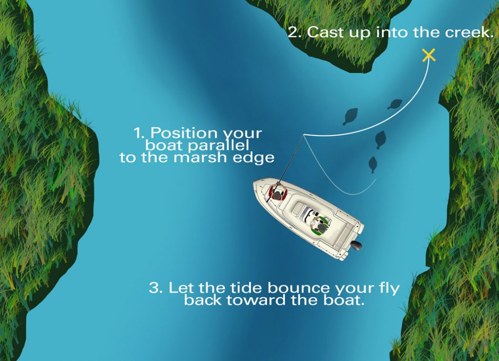 FISHING TIDAL CREEKS AND MARSHES