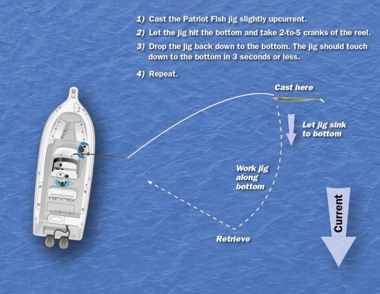 JoeBaggs Patriot Fish Diagram