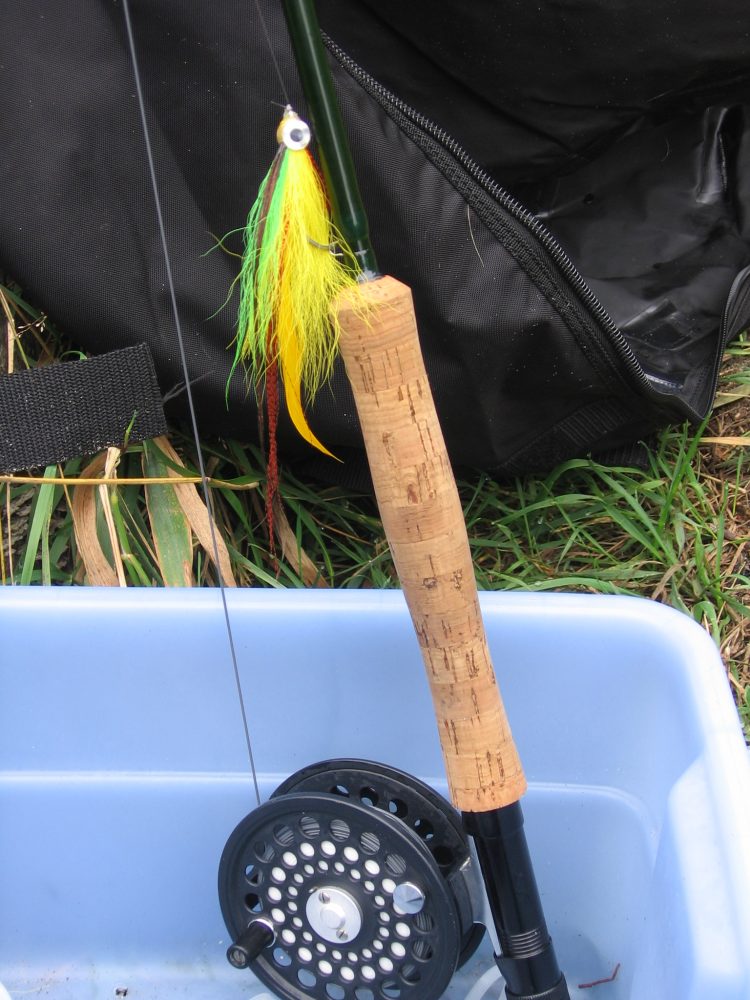 Striper Fly Fishing Hermit Island Maine