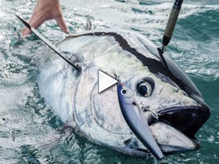 Strategic Angler Thumbnail