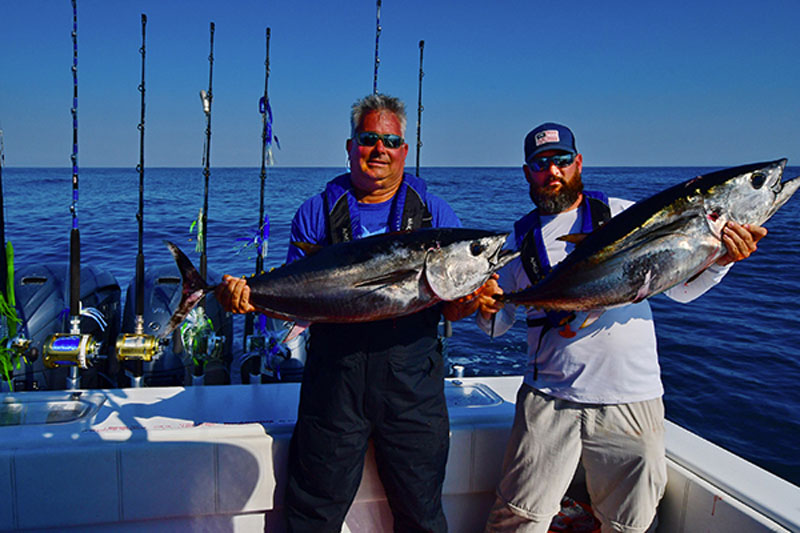 pair of bluefin tuna