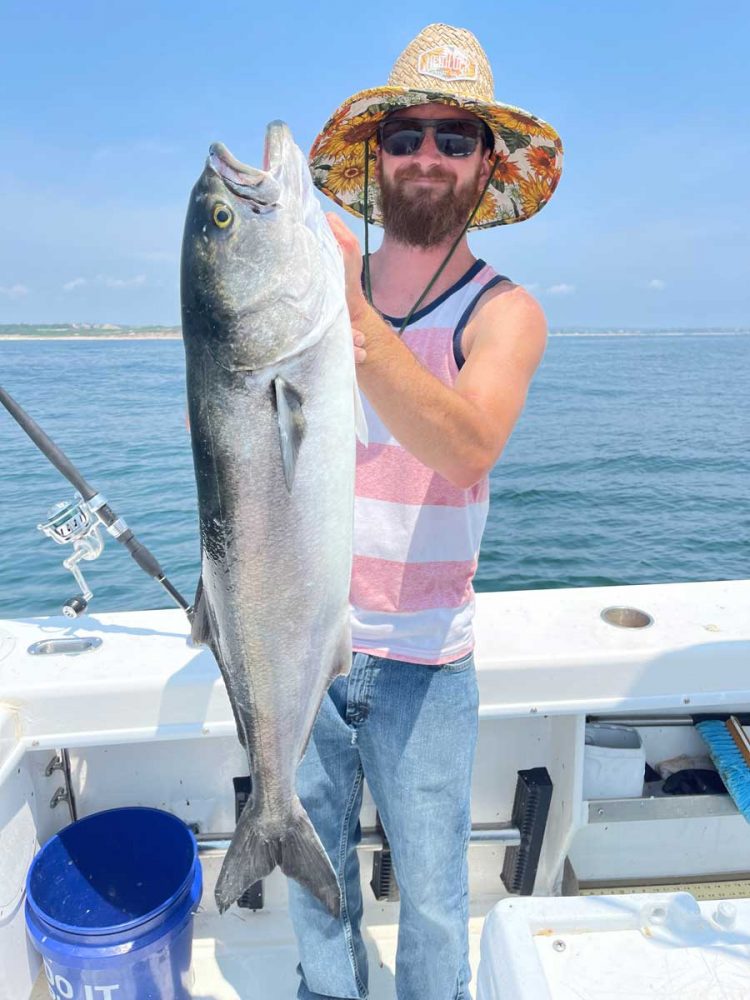 Charter Guys gator blue