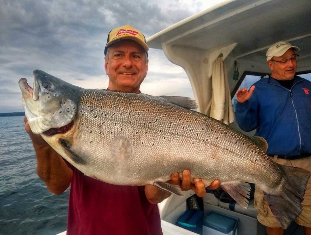 Mike Barnell brown trout