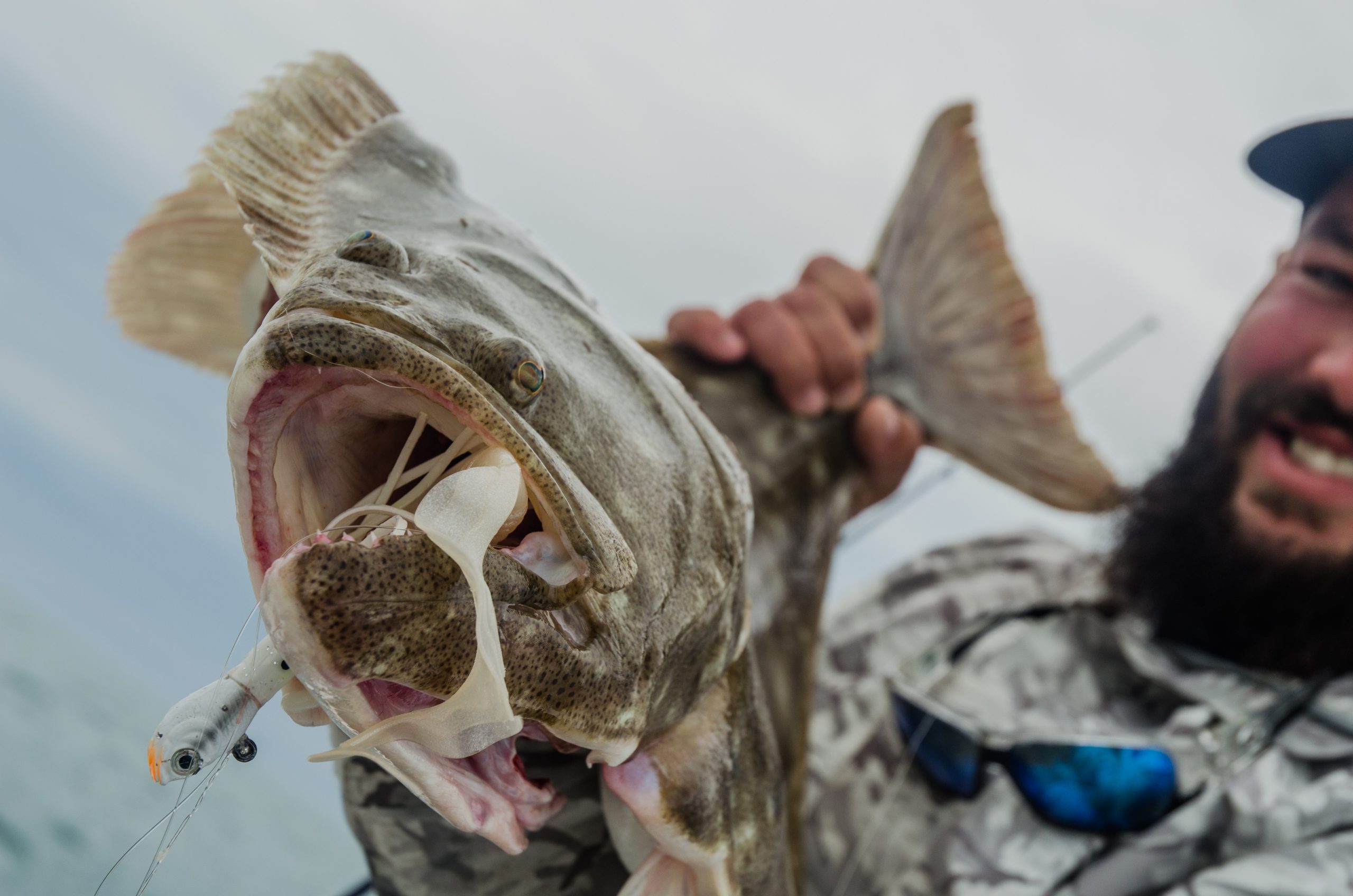 Anthony DeiCicchi Fluke