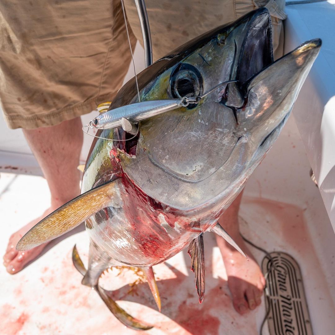 JoeBaggs Resin Jig Tuna