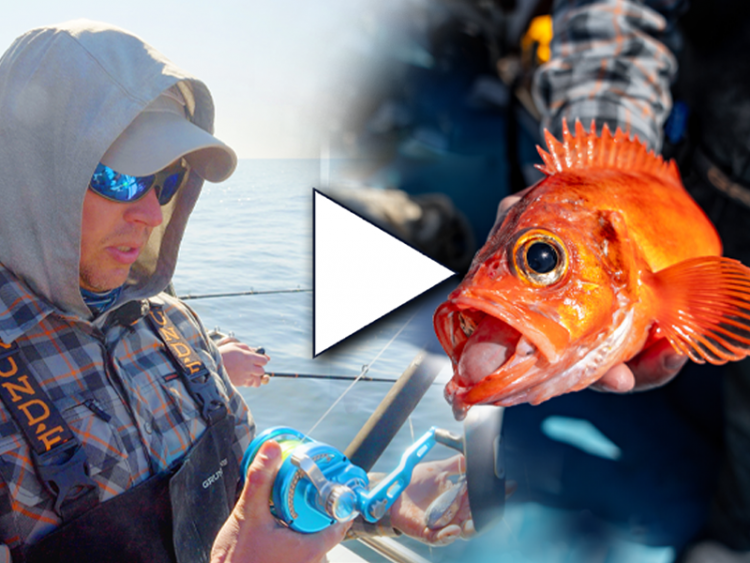 At The Rail Redfish