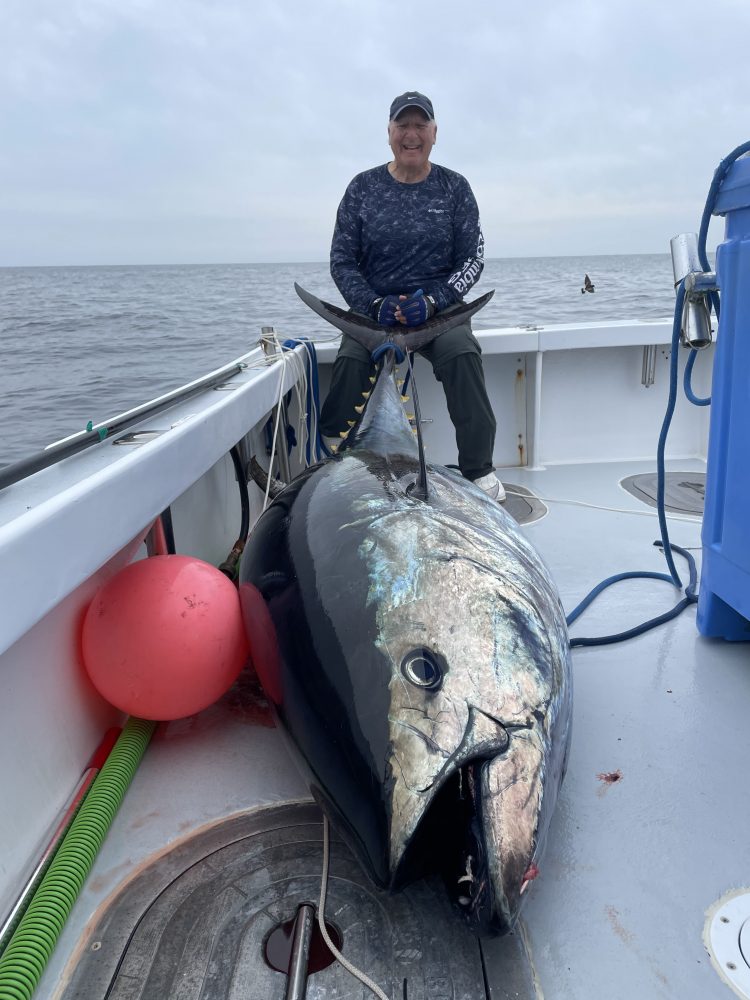 Bluefin Tuna Fish Chatham Charters