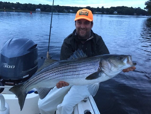 Matt Boutet striped bass