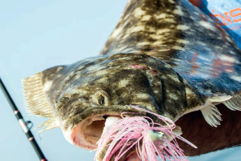 Fluke Strip Baits