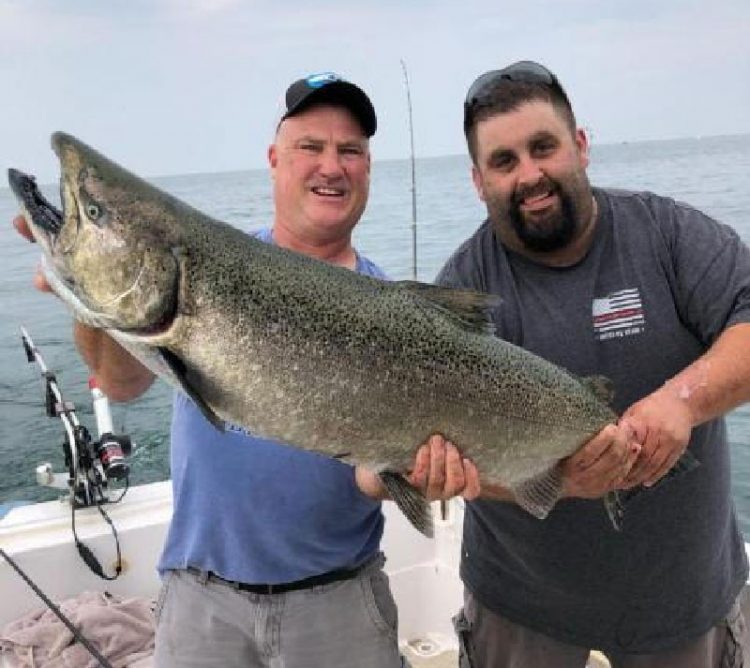 Tom Wilson John Van Hoff