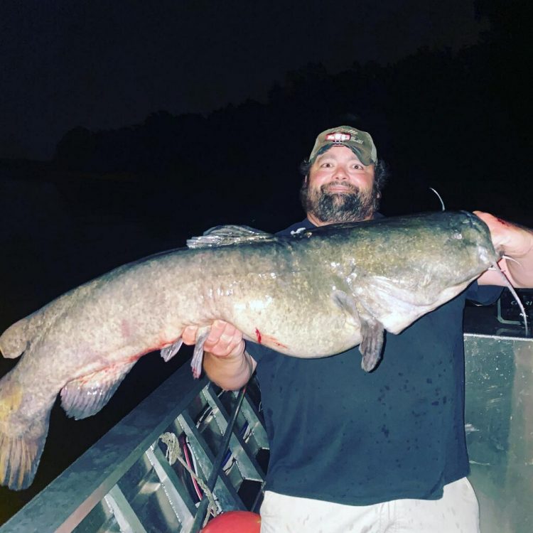 Flathead Catfish