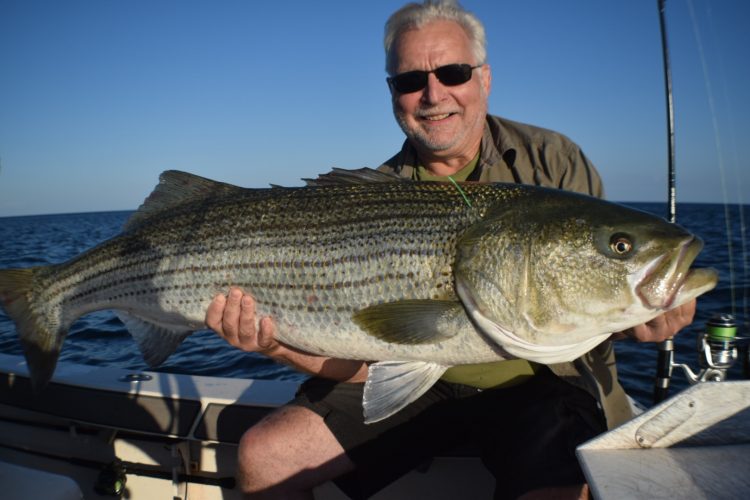 Striped Bass Reel Cast Charters