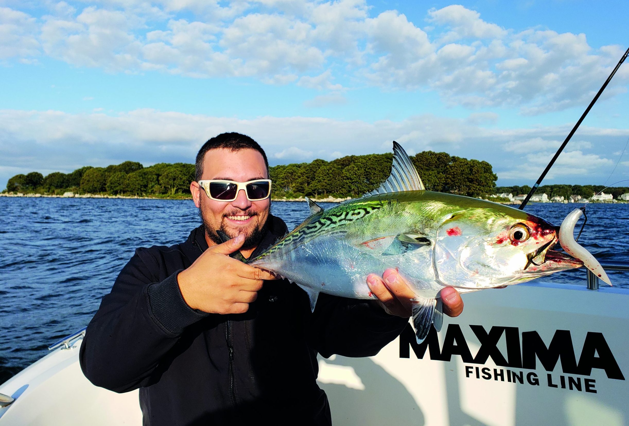 Albie Snax False Albacore