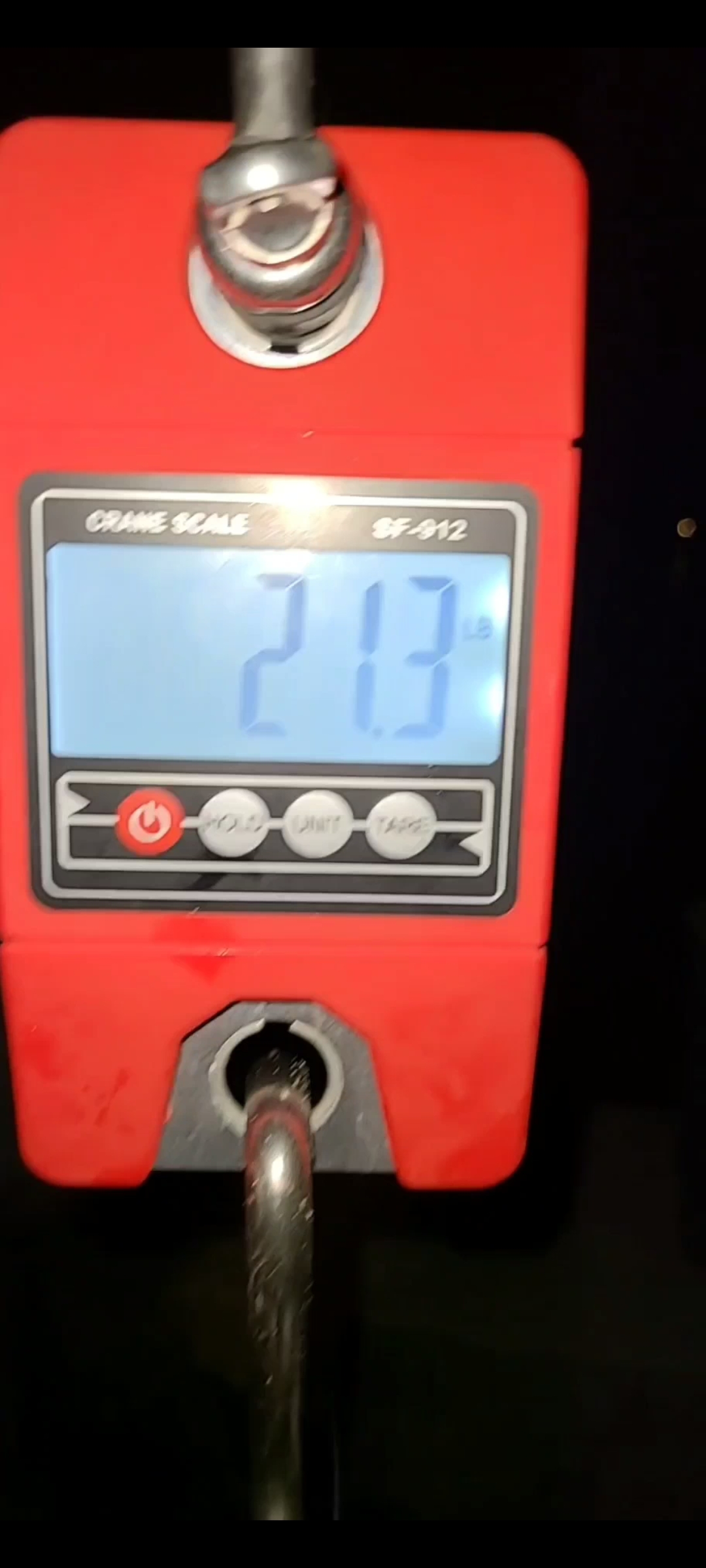 Photo Credit: Connecticut Fish and Wildlife