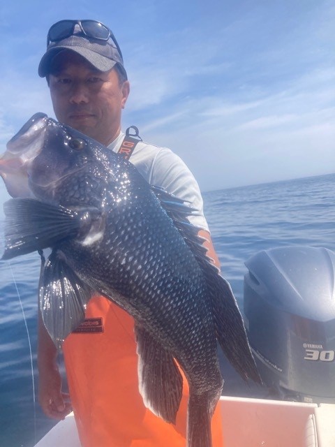 Black Sea Bass Thanh T.