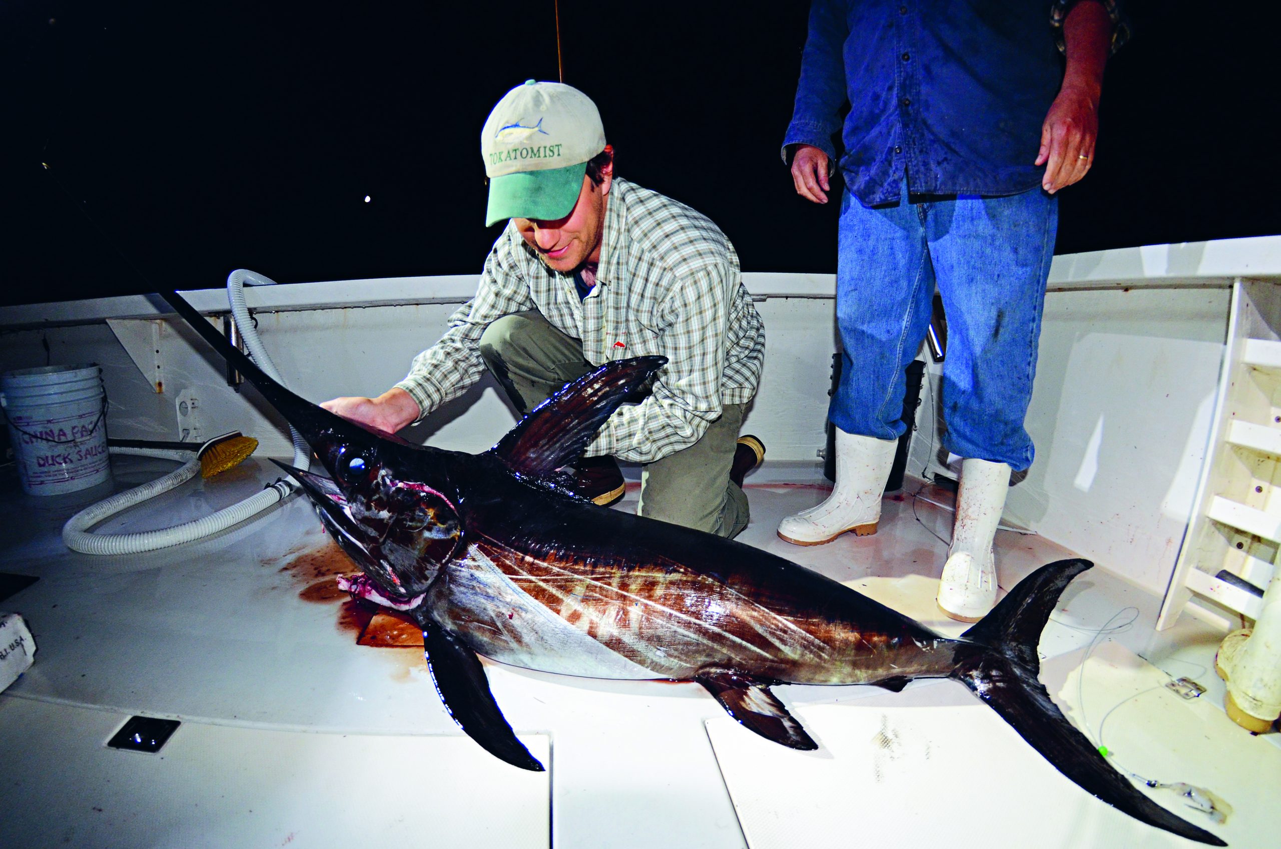 Night Swordfishing