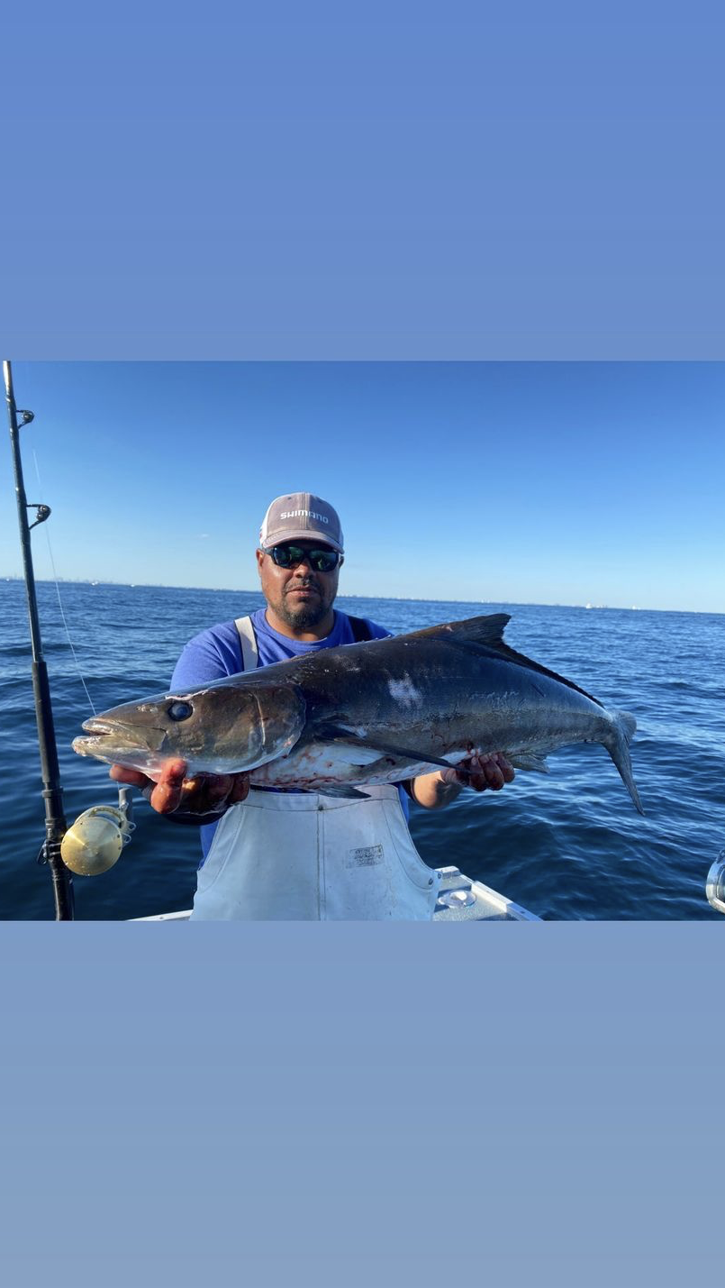 Rockfish Charters Cobia