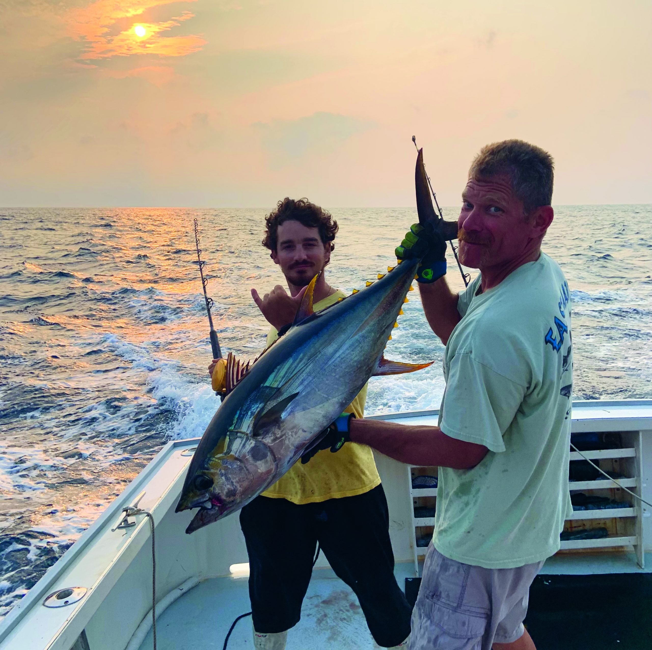 Yellowfin Tuna