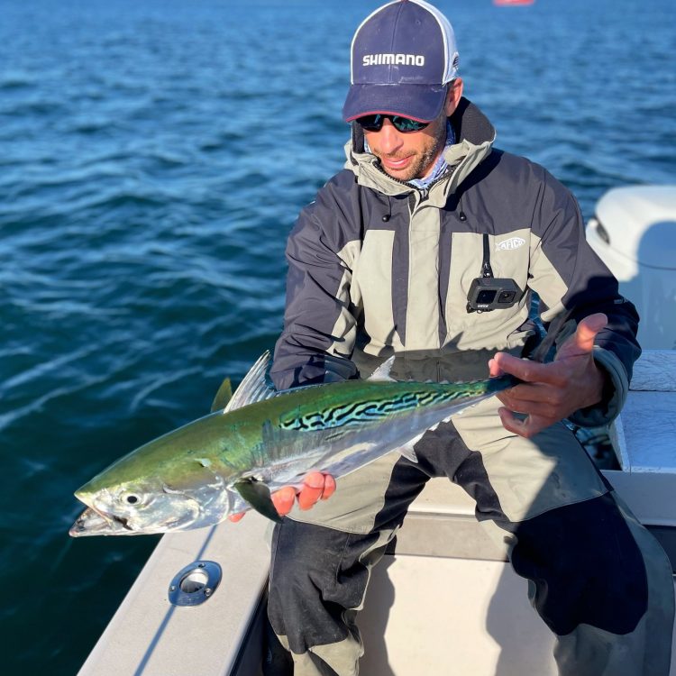 Mike Roy False Albacore