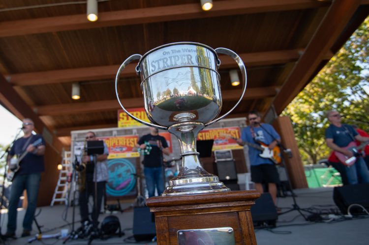 The Striper Cup