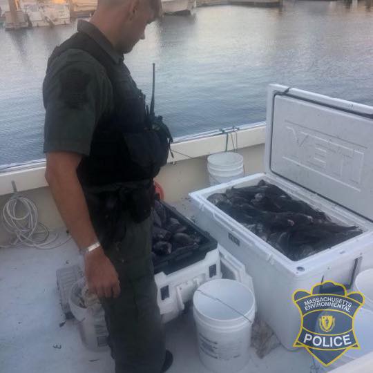 Massachusetts Fish Poachers