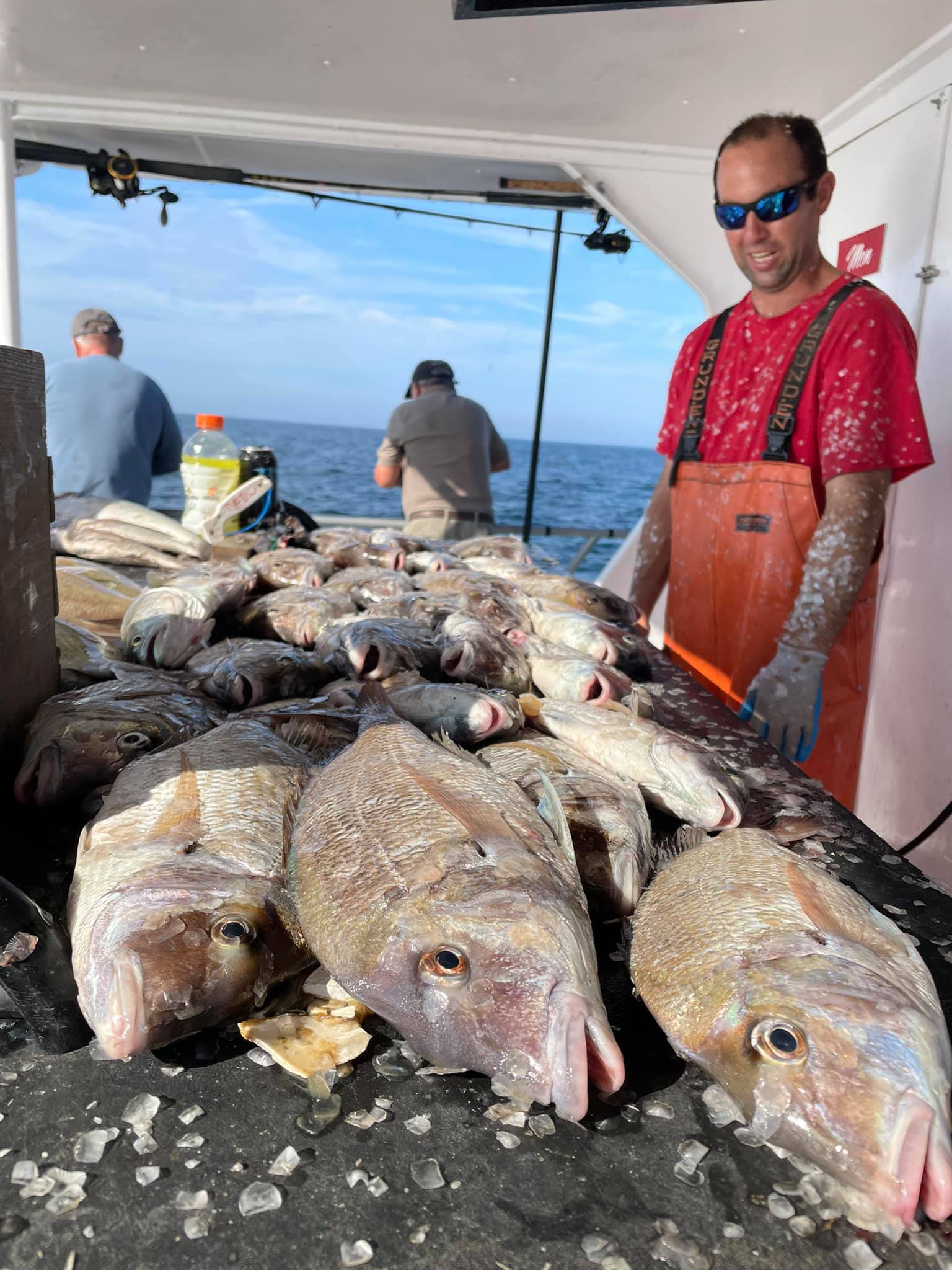 Super Hawk porgy scales