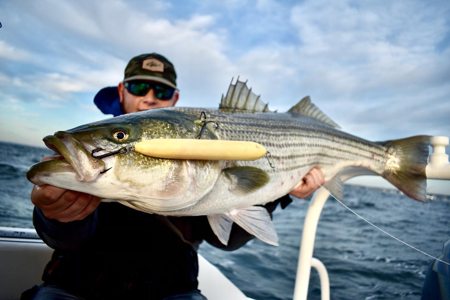 Paul Puccini Striper