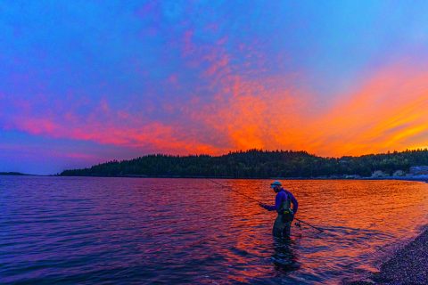 Fall Nights on the Run for Stripers