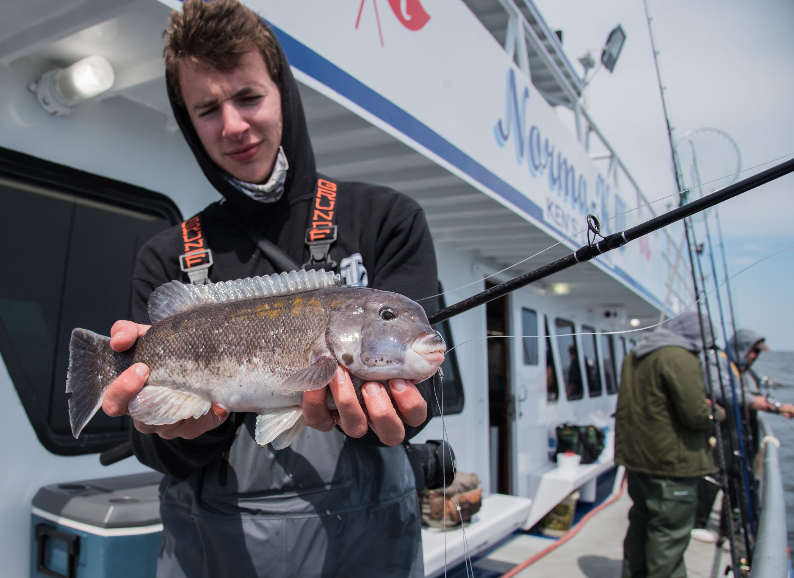 Andrew Burke Norma K III