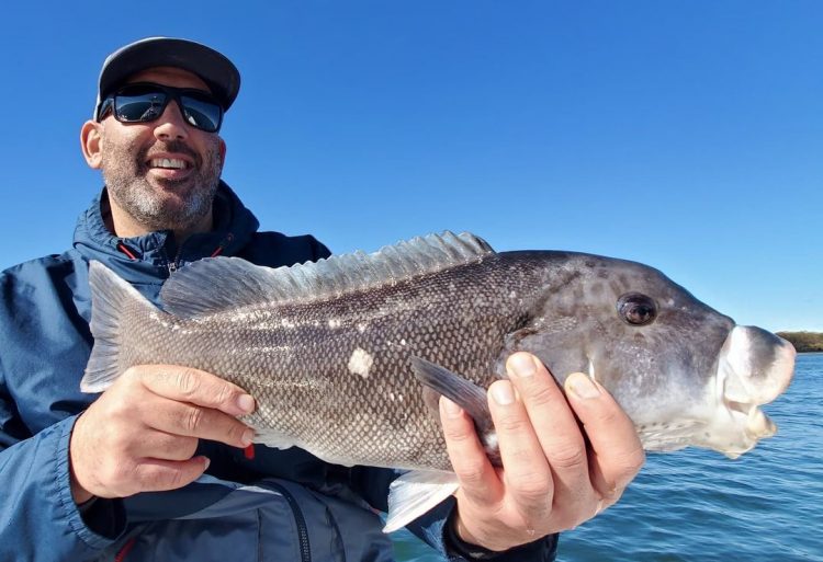 Joe Diorio Tautog