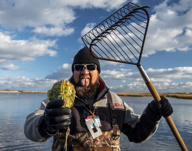 Andy Nabreski Oysters