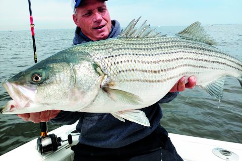 Jim Freda Striper
