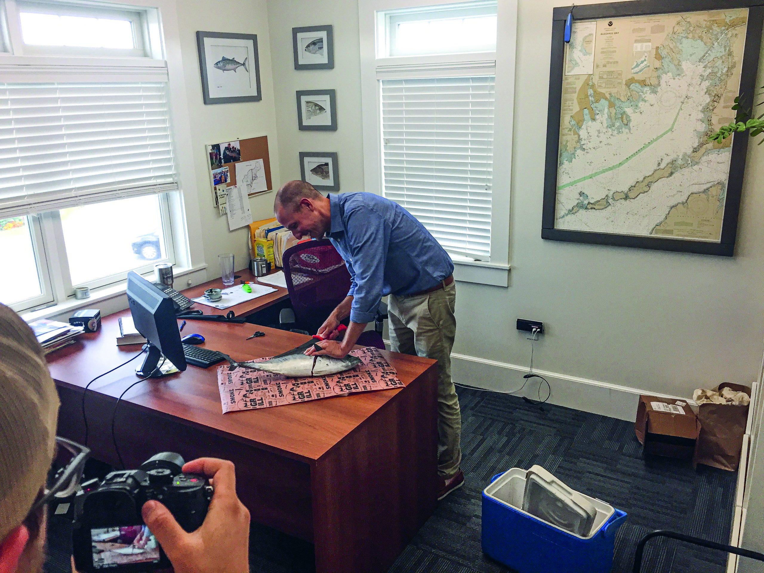 Cleaning False Albacore