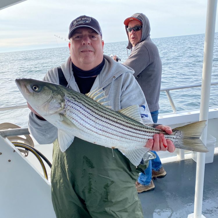 Capt. Lou Striper