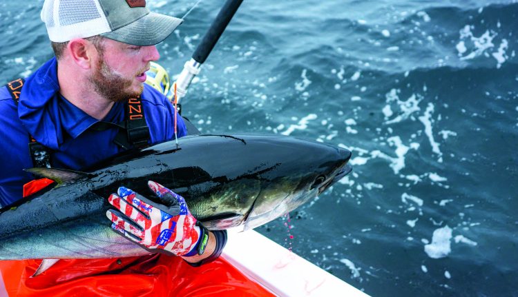 Bluefin Tuna Tagging