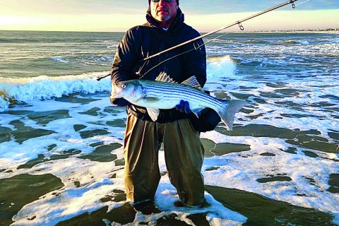 New Jersey Striped Bass