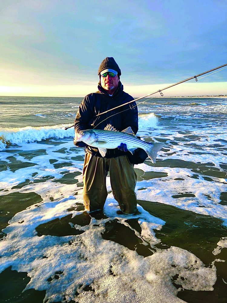 New Jersey Striped Bass