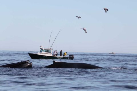 Gifts for the Offshore Fisherman