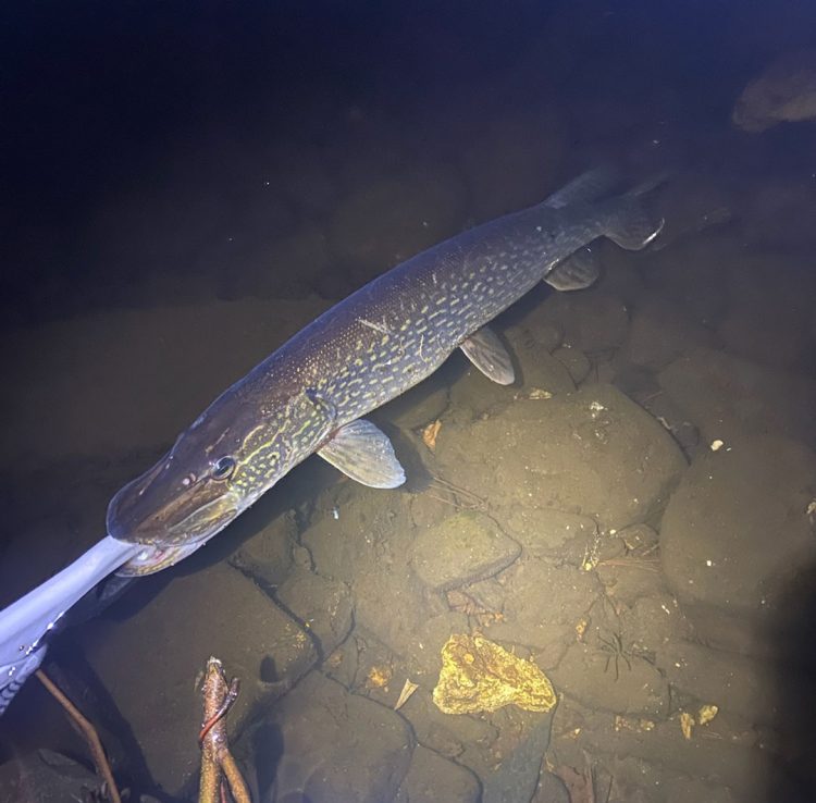 Merrimack Valley pike