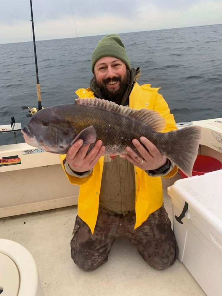 tautog