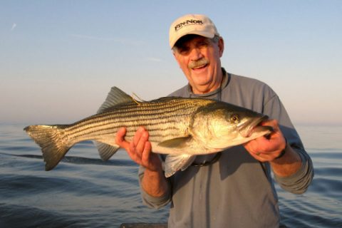 late Captain Al Anderson with tagged striped bass